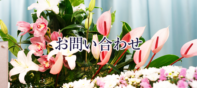会社概要・アクセス
